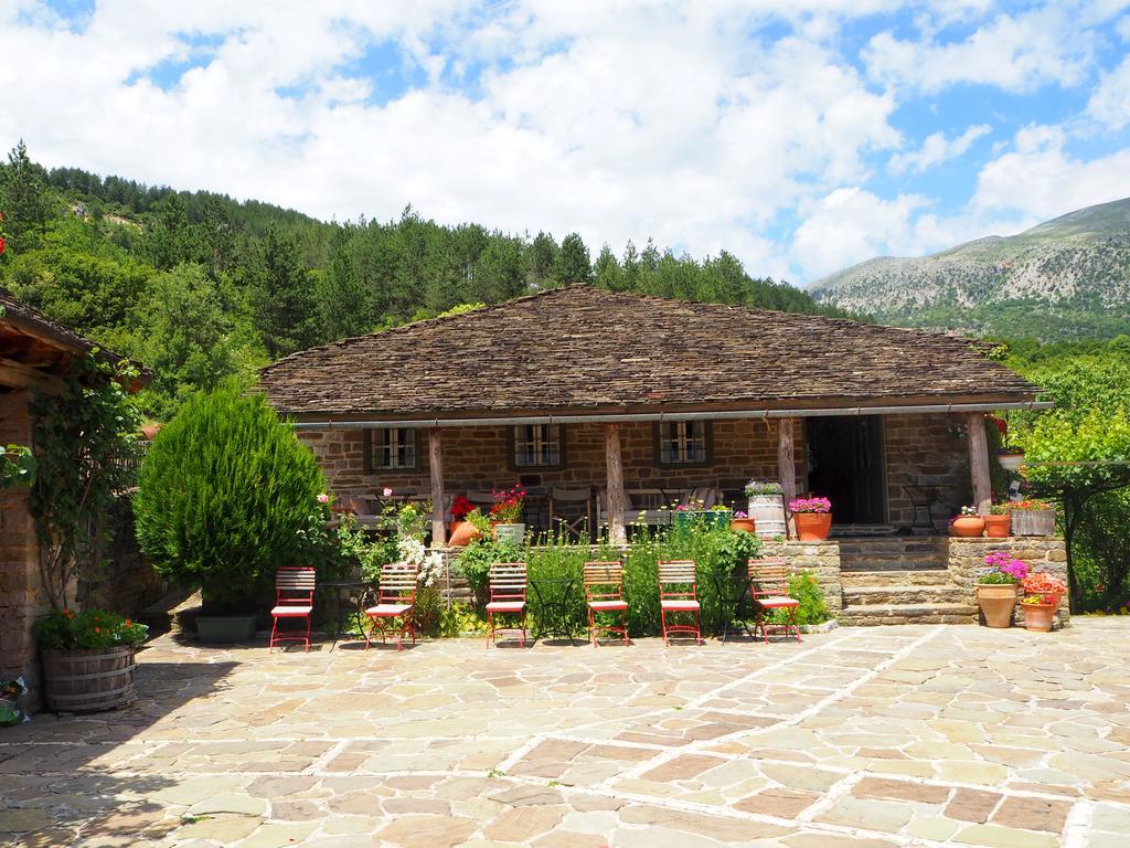 Papaevangelou Hotel Papingo Extérieur photo