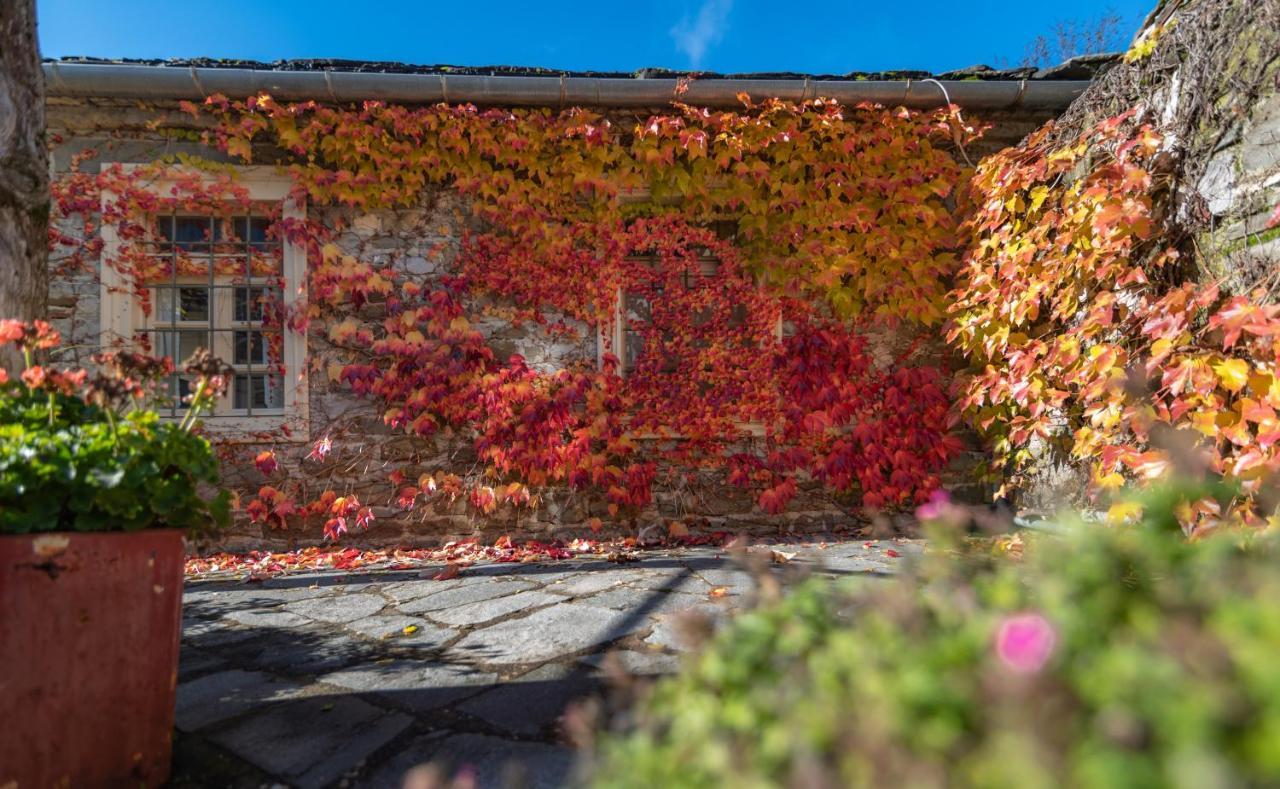 Papaevangelou Hotel Papingo Extérieur photo